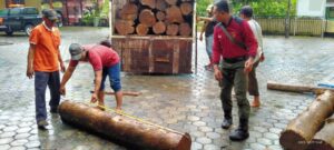Ilegal logging