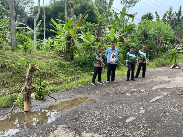 Tanam pisang