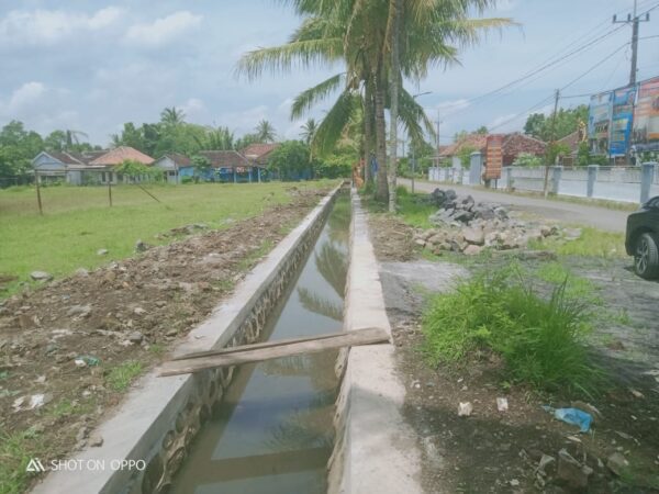 Plengsengan diksi.co.id